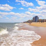 The 4 Best Grass Types for Sandy Soils (Virginia Beach, VA)